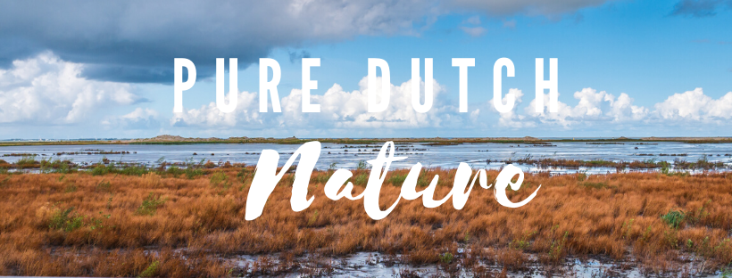 Enjoy the pure nature on the Marker Wadden in the Markermeer in the Netherlands.
